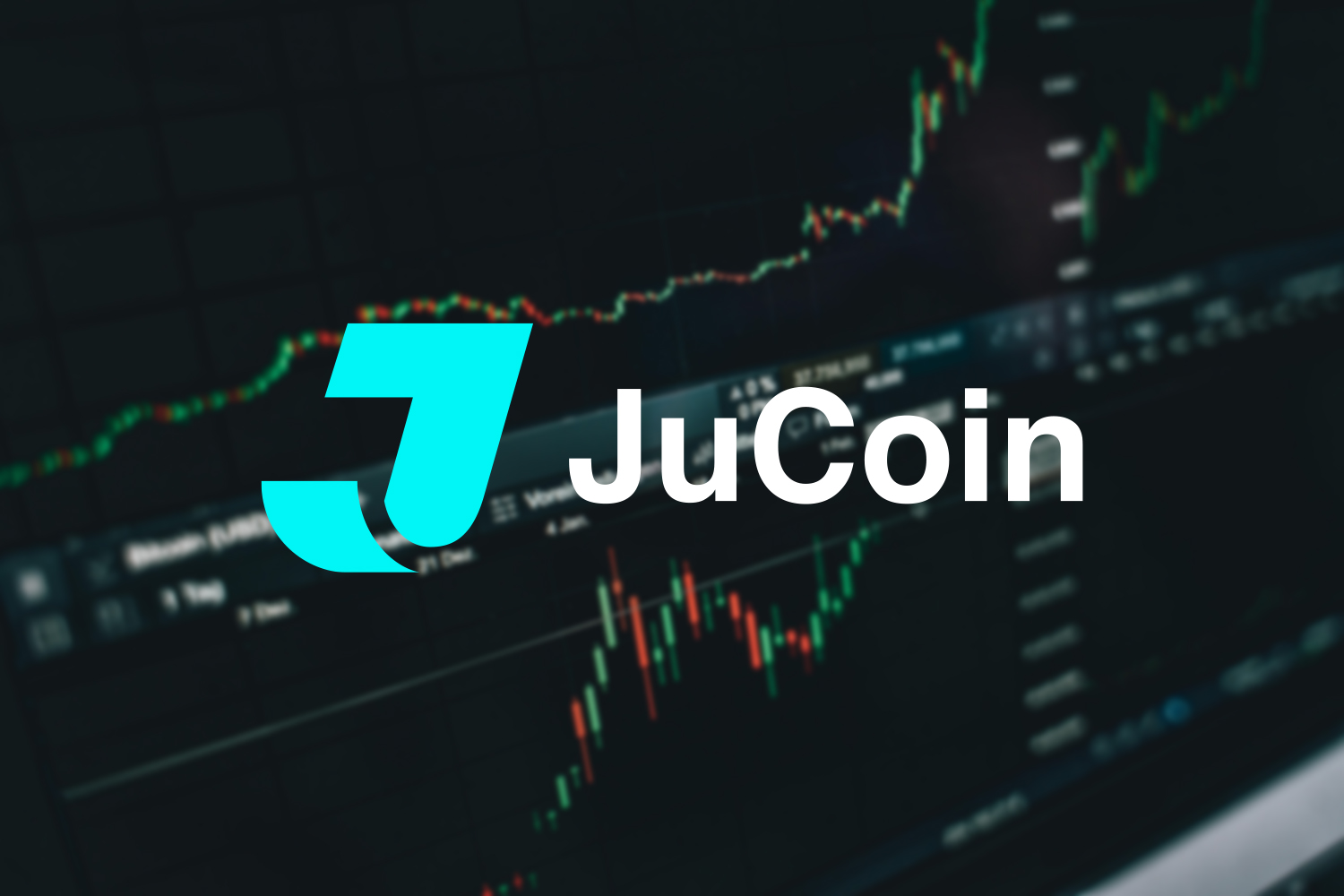 聚币JuCoin